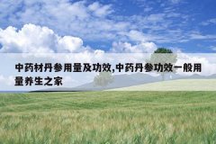 <b>��ҩ�ĵ�����������Ч,��ҩ���ι�Чһ����������֮��</b>