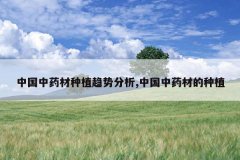 <b>�й���ҩ����ֲ���Ʒ���,�й���ҩ�ĵ���ֲ</b>