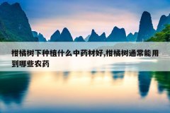 <b>����������ֲʲô��ҩ�ĺ�,������ͨ�����õ���Щũҩ</b>