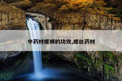 <b>��ҩ�����ϵĹ�Ч,��˿ҩ��</b>