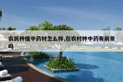 <b>ũ����ֲ��ҩ����ô��,��ũ������ҩ��ǰ����</b>