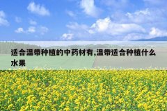 <b>�ʺ��´���ֲ����ҩ����,�´��ʺ���ֲʲôˮ��</b>