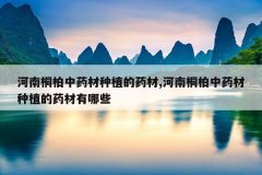 <b>����ͩ����ҩ����ֲ��ҩ��,����ͩ����ҩ����ֲ��ҩ������Щ</b>