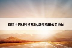 <b>������ҩ����ֲ����,���輦�繫˾��ַ</b>