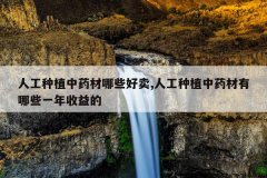 <b>�˹���ֲ��ҩ����Щ����,�˹���ֲ��ҩ������Щһ�������</b>