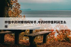 <b>��ֲ��ҩ��׬Ǯ��֪��,��ҩ����ֲ������ô��</b>