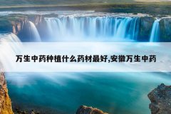 <b>������ҩ��ֲʲôҩ�����,����������ҩ</b>