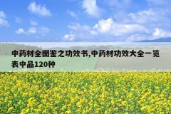 <b>��ҩ��ȫͼ��֮��Ч��,��ҩ�Ĺ�Ч��ȫһ������Ʒ120��</b>