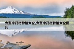 <b>������ҩ����ֲ��ȫ,������ҩ����ֲ��ȫͼƬ</b>