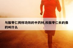 <b>��������ͬ����Ч����ҩ��,�������ʳ�����Ľ�ʲô</b>