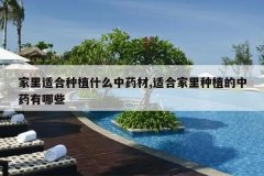 <b>�����ʺ���ֲʲô��ҩ��,�ʺϼ�����ֲ����ҩ����Щ</b>