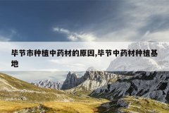 <b>�Ͻ�����ֲ��ҩ�ĵ�ԭ��,�Ͻ���ҩ����ֲ����</b>