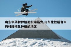 <b>ɽ����ҩ����ֲ���˭���,ɽ���Ƚ��ʺ���ҩ�Ĺ�ģ����ֲ�ĵ���</b>