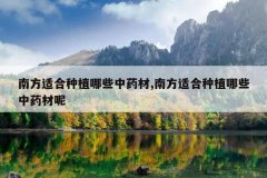 <b>�Ϸ��ʺ���ֲ��Щ��ҩ��,�Ϸ��ʺ���ֲ��Щ��ҩ����</b>