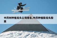 <b>��ҩ����ֲ��ͷ��˾����,��ҩ��ֲ����ͷ��Ʊ</b>