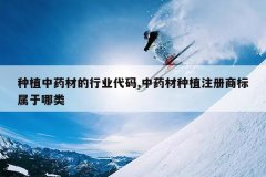 <b>��ֲ��ҩ�ĵ���ҵ����,��ҩ����ֲע���̱���������</b>