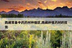 <b>���س�����ҩҩ����ֲ��,������ֲҩ�ĵ�����</b>