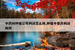 <b>��ҩ����ֲ��˾������ô��,��ֲ�в�ҩ�������</b>