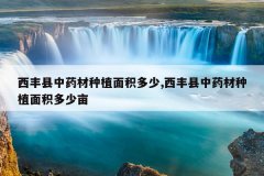 <b>��������ҩ����ֲ�������,��������ҩ����ֲ�������Ķ</b>