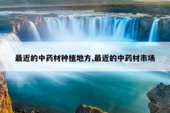 <b>�������ҩ����ֲ�ط�,�������ҩ���г�</b>