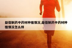 <b>�����ҩ��ҩ����ֲ���,�����ҩ��ҩ����ֲ�����ô��</b>