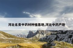 <b>�ӱ�������ҩ����ֲ����,�ӱ���ҩ����</b>