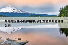 <b>���������ܲ�����ֲ��ҩ��,���ո�������ʲô��</b>