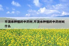 <b>����ˮ��ֲ����ҩ��,����ˮ��ֲ����ҩ�Ľ�ʲô</b>