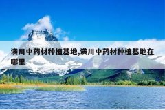 <b>�괨��ҩ����ֲ����,�괨��ҩ����ֲ����������</b>