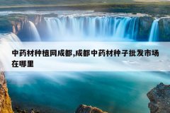 <b>��ҩ����ֲ���ɶ�,�ɶ���ҩ�����������г�������</b>