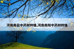 <b>����������ҩ����ֲ,����������ҩ����ֲ</b>