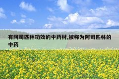 <b>�а�˾ƥ�ֹ�Ч����ҩ��,����Ϊ��˾ƥ�ֵ���ҩ</b>