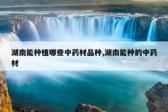 <b>��������ֲ��Щ��ҩ��Ʒ��,�������ֵ���ҩ��</b>