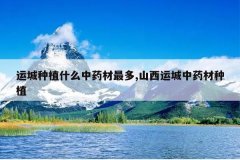 <b>�˳���ֲʲô��ҩ�����,ɽ���˳���ҩ����ֲ</b>