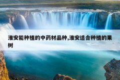 <b>��������ֲ����ҩ��Ʒ��,�����ʺ���ֲ�Ĺ���</b>