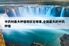 <b>��ҩ�������ֲ����������,ȫ��������ҩ��ֲ</b>