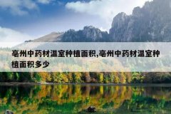 <b>������ҩ��������ֲ���,������ҩ��������ֲ�������</b>