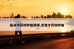 <b>�����ҩ����ֲ��Ƶ,������ҩ����ֲ</b>