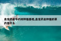 <b>����ҩҵ��ҩ����ֲ����,����ҩҵ��ֲ�Ĳ�ҩ��ʲô</b>