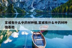 <b>������ʲô��ҩ����ֲ,������ʲô��ҩ����ֲ����</b>