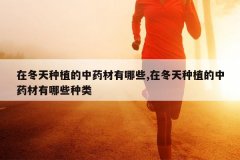 <b>�ڶ�����ֲ����ҩ������Щ,�ڶ�����ֲ����ҩ������Щ����</b>