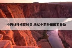 <b>��ҩ����ֲ����ƶ,��ƶ��ҩ��ֲ���Ҳ���</b>