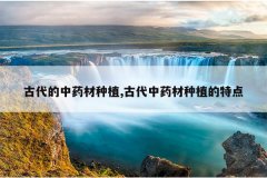 <b>�Ŵ�����ҩ����ֲ,�Ŵ���ҩ����ֲ���ص�</b>