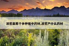 <b>�������Ǹ�����ֲ��ҩ��,���ܲ�ʲôҩ��</b>