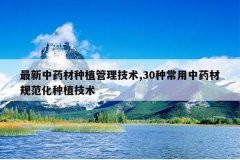 <b>������ҩ����ֲ��������,30�ֳ�����ҩ�Ĺ淶����ֲ����</b>