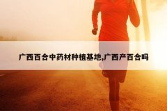 <b>�����ٺ���ҩ����ֲ����,�������ٺ���</b>