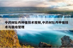 <b>��ҩ��ĵ����ֲ������Ƶ,��ҩ��ĵ����ֲ�������������</b>