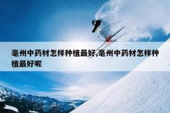 <b>������ҩ��������ֲ���,������ҩ��������ֲ�����</b>