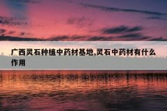<b>������ʯ��ֲ��ҩ�Ļ���,��ʯ��ҩ����ʲô����</b>