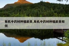 <b>лҩֲǰ,лҩֲǰ</b>